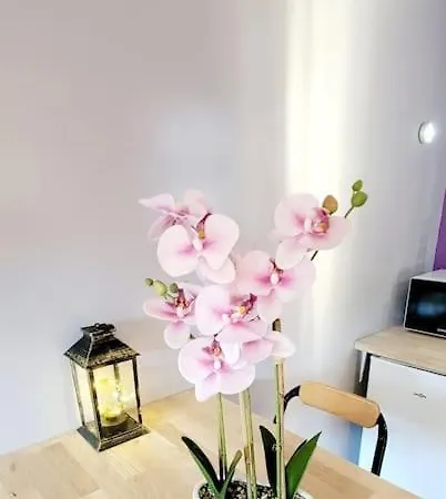 Apartment Detente Cosy Proche 15mn Lyon 2 Personnes Corbas