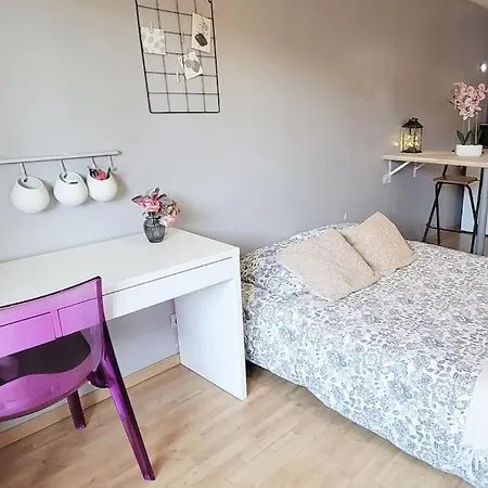 Detente Cosy Proche 15mn Lyon 2 Personnes Apartment Corbas