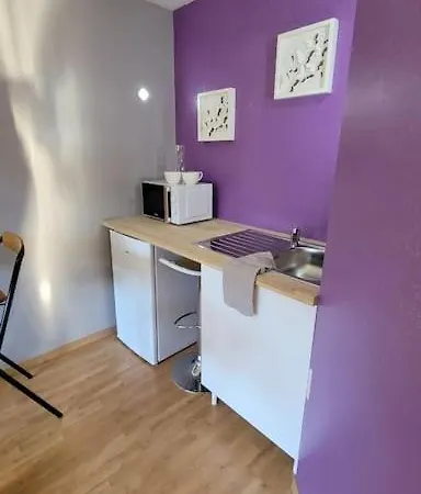 Pause Detente A Acces Piscine, Confort & Tranquillite Appartement Corbas